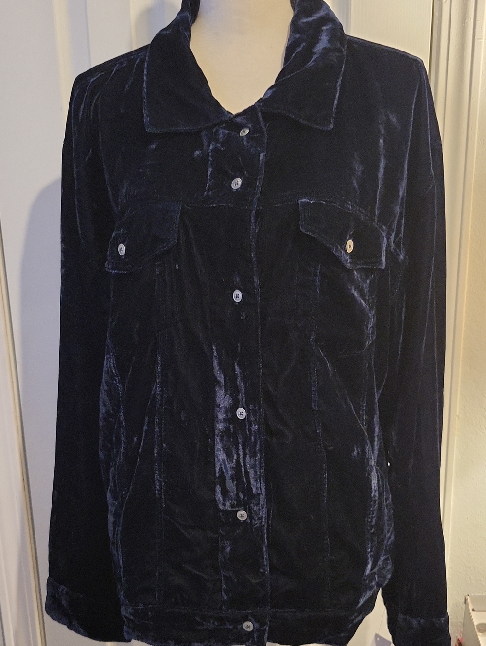 Kyla Seo Velvet Button-Front "Rosie" Jacket With Pockets in Navy